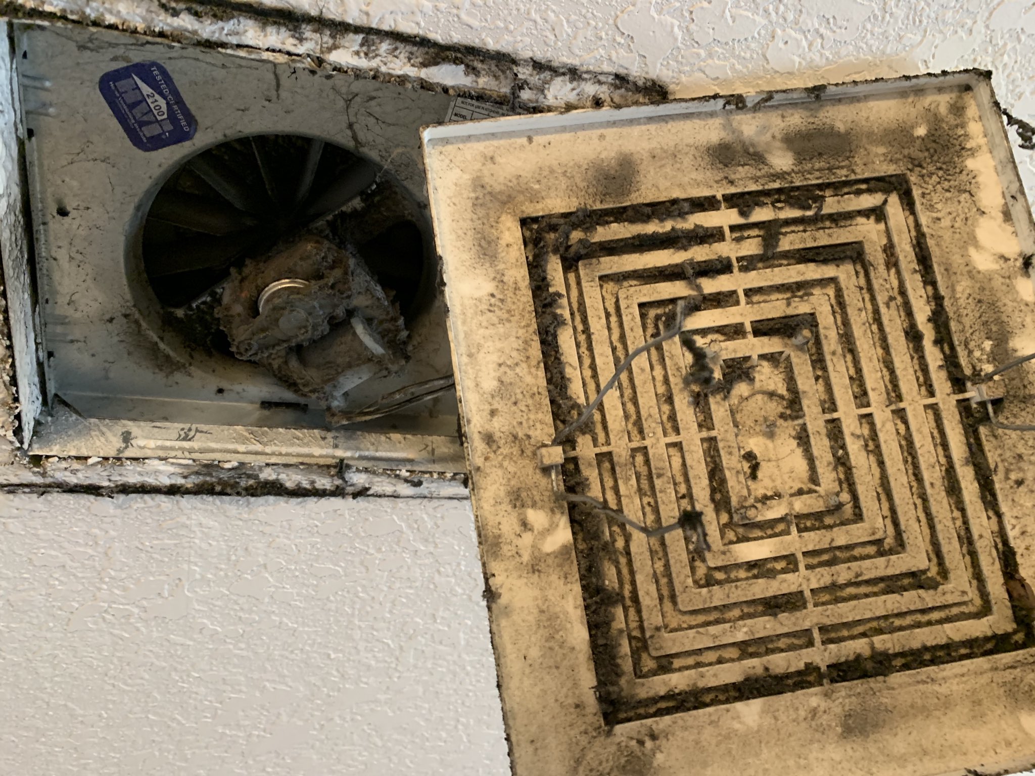 Exhaust Fan Cleaning