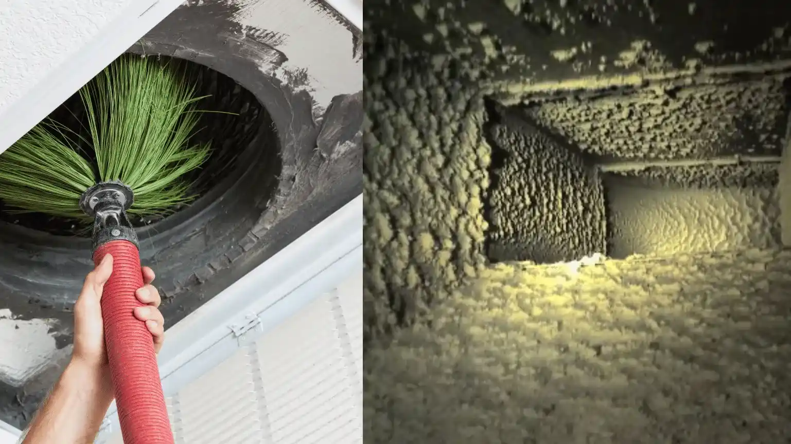 How Duct Cleaning Reduces the Risk of Mold Growth and Moisture Damage