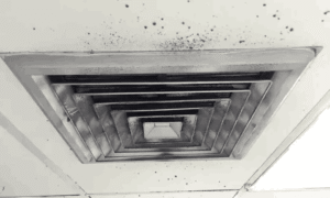 Is Mold on Air Vents Dangerous