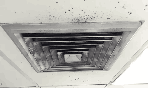 Is Mold on Air Vents Dangerous