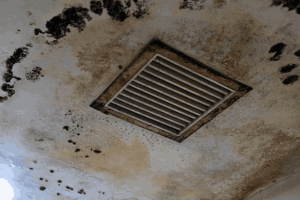 Mold Vs Dust In Air Vent